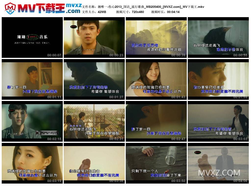 湘唯一-伤心2013_国语_流行歌曲_MB205400